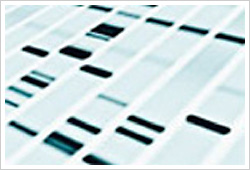 二次検査／PCR法（通知法）